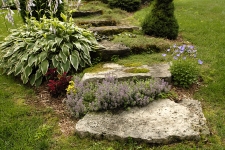 Marche en pierre naturelle